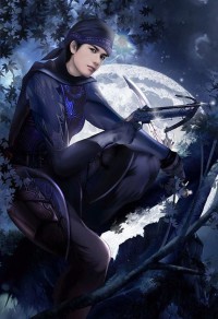 武极剑