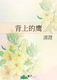 背上的鹰